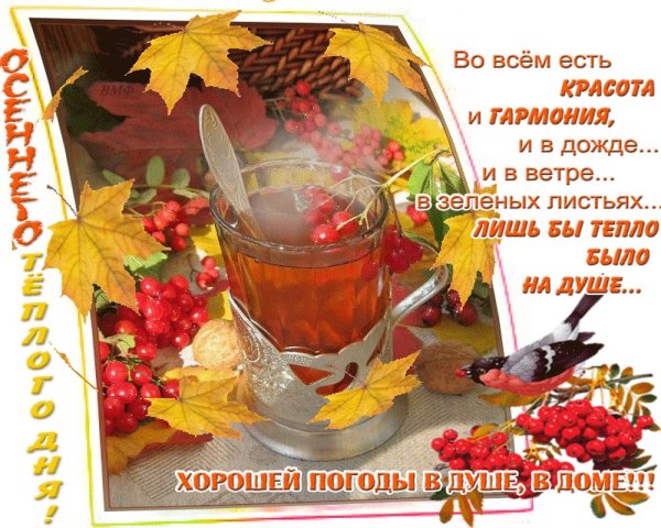 Прекрасного осеннего настроения