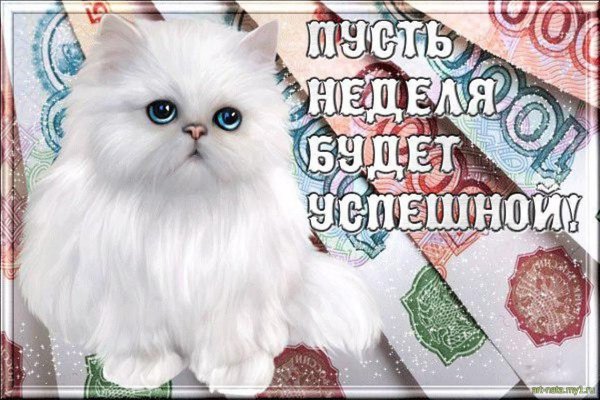 Открытки успешной недели