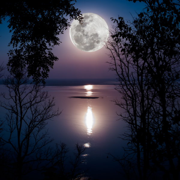 Картинки с пожеланиями лунный вечер (48 фото)