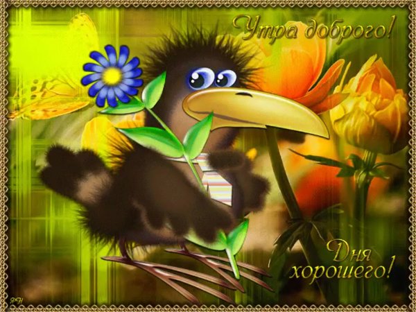 Пожелания доброго дня