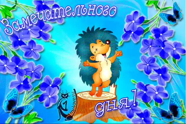 Хорошего дня gif