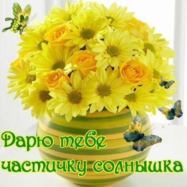 Жёлтые цветы с добрыми пожеланиями