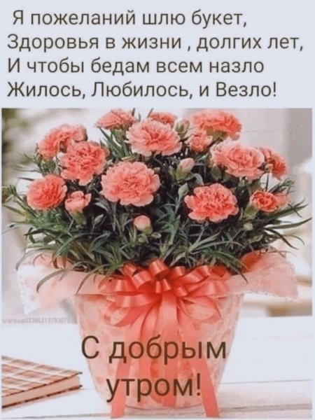 С добрым утром здоровья
