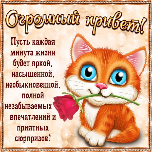 Поздравления на каждый день в картинках