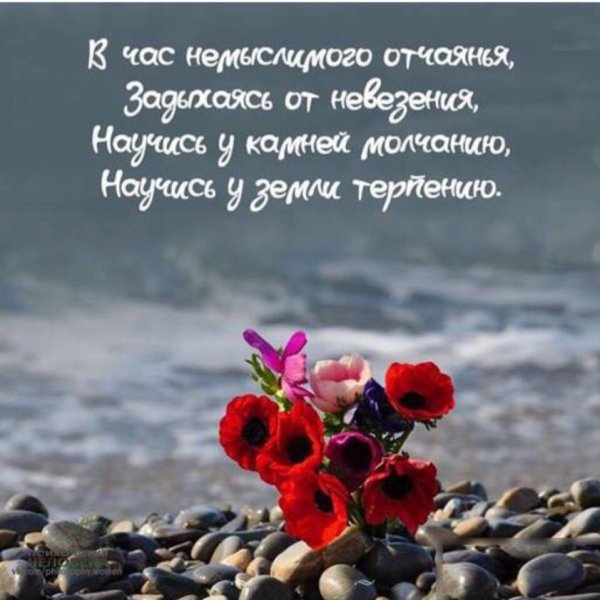 Красивые цитаты