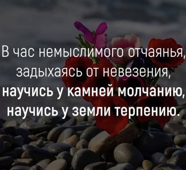 Терпение цитаты