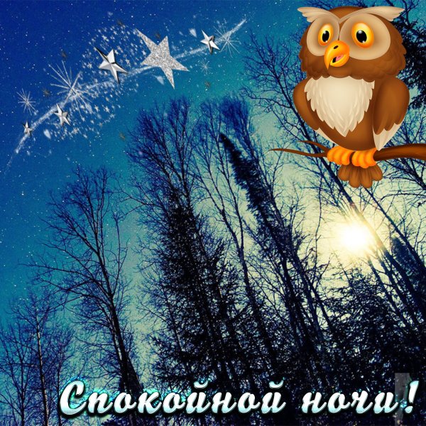 Доброй ночи