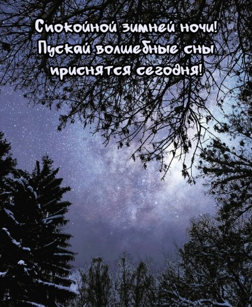 Спокойной ночи зимой