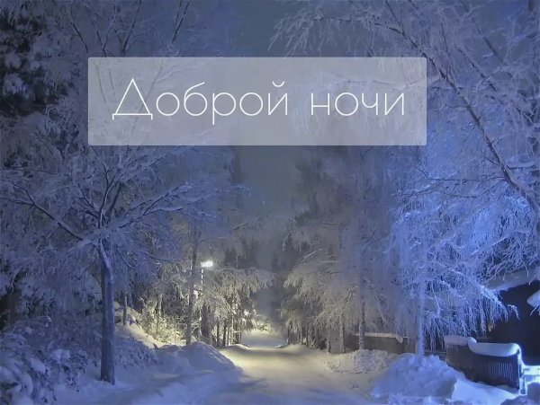 Спокойной тихой ночи