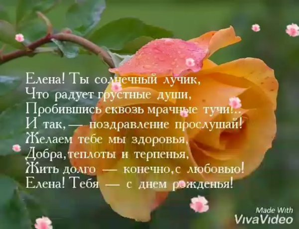 С днём рождения Леночка