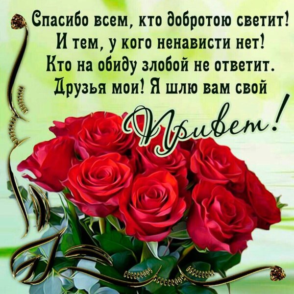 Спасибо друзья