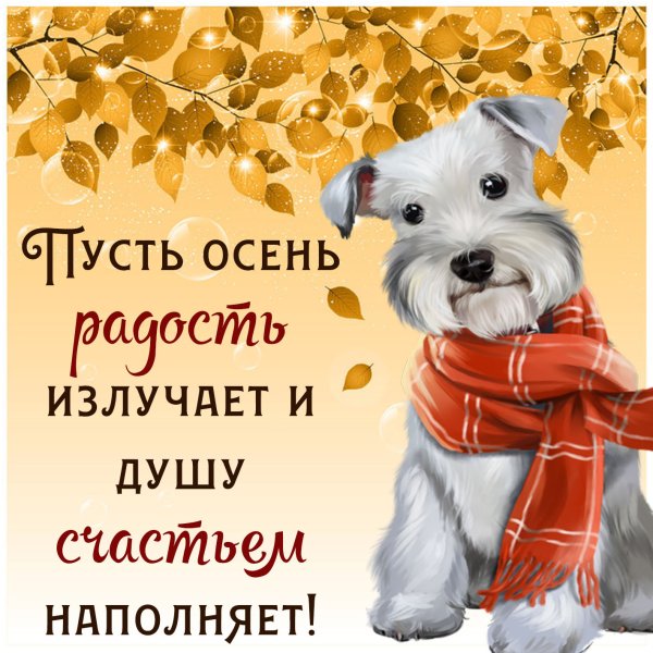 Осенние пожелания друзьям