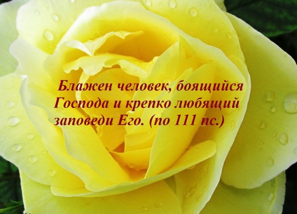 Добрые пожелания на каждый день Божьего благословения
