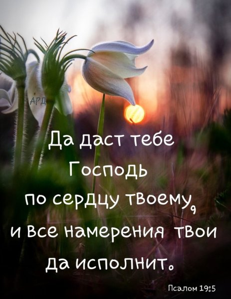 Мудрые пожелания хорошего дня
