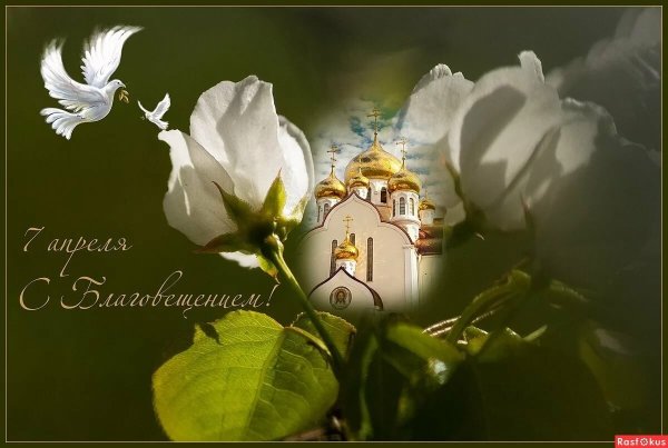 С Благовещением картинки