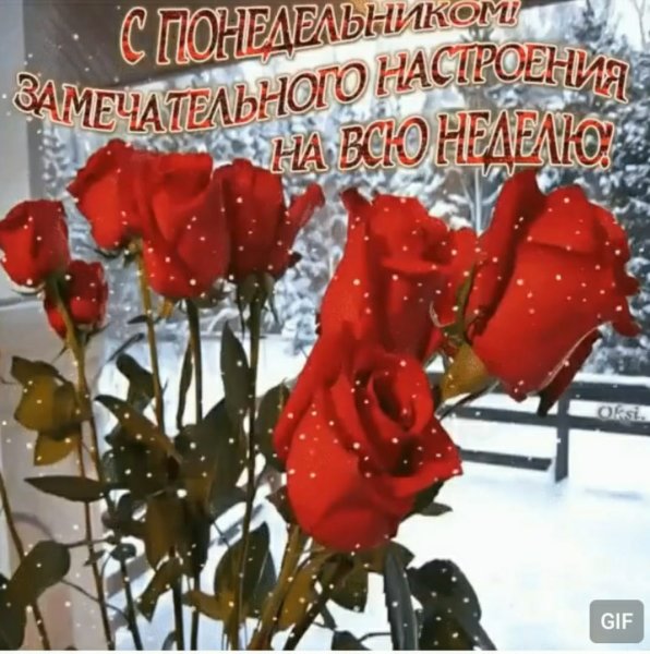 С добрым зимним утром понедельника
