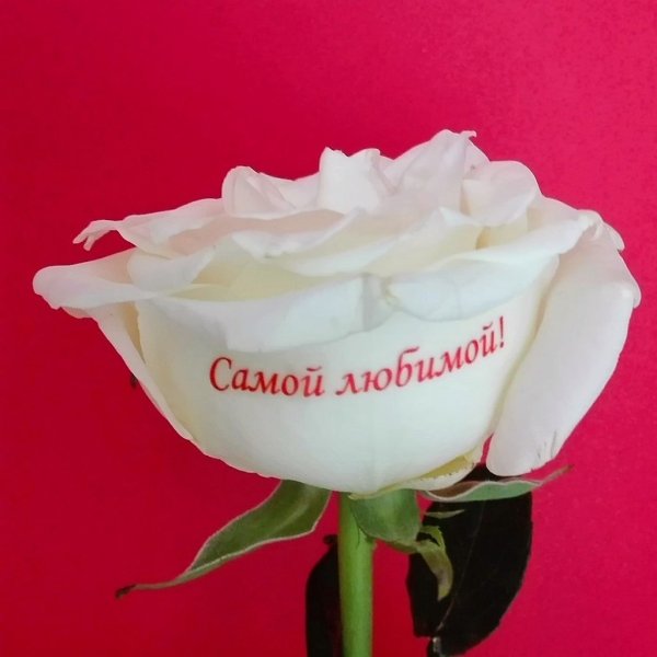 Цветы для любимой женщины