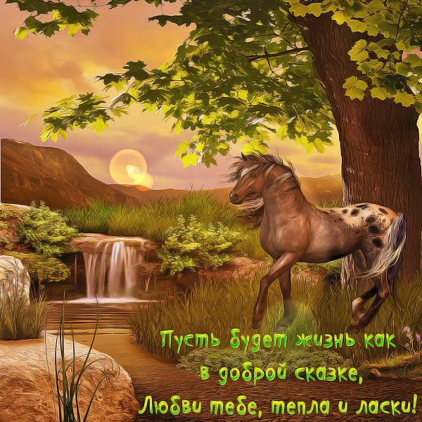 Лошадь желает здоровья