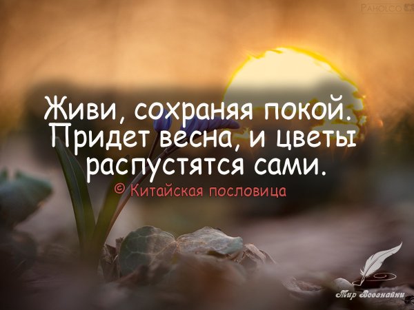 Гармония и равновесие