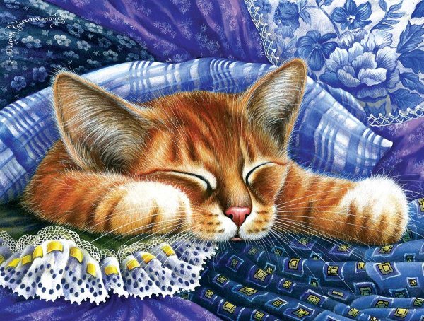 Открытки спокойной ночи с котятами