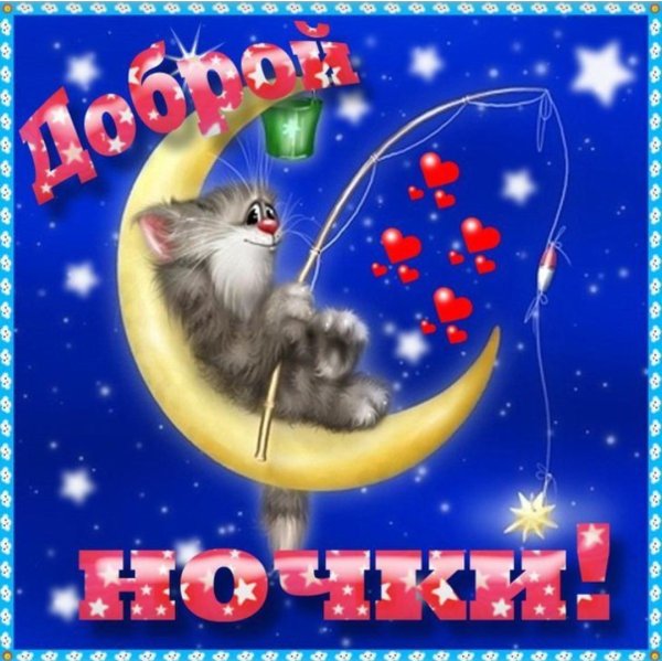 Спокойной ночи коты