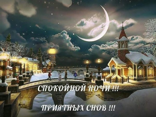 Спокойной зимней ночи
