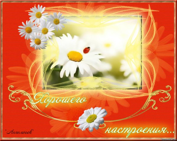 Открытки с пожеланиями
