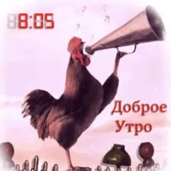 Прикольные гифки с добрым утром