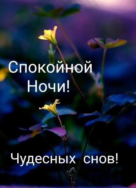 Спокойной ночи вам
