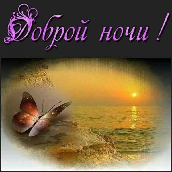 Открытки доброй ночи
