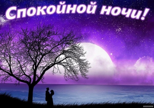 Спокойной ночи