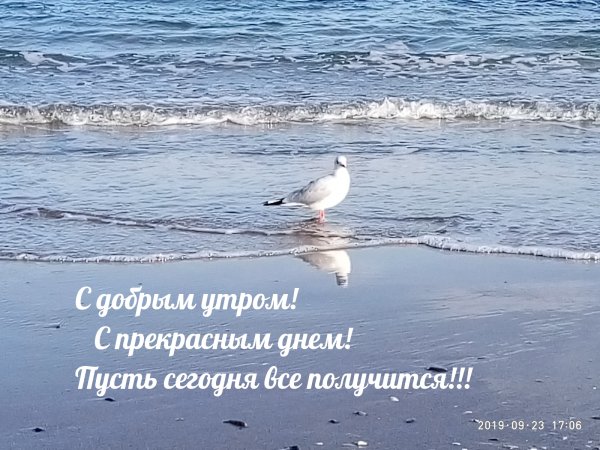 Доброе утро пусть ве получится