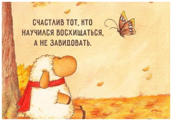 Афоризмы про счастье прикольные