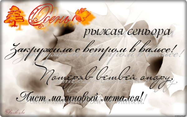 Осенние высказывания на прозрачном фоне