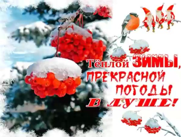 Теплые зимние пожелания