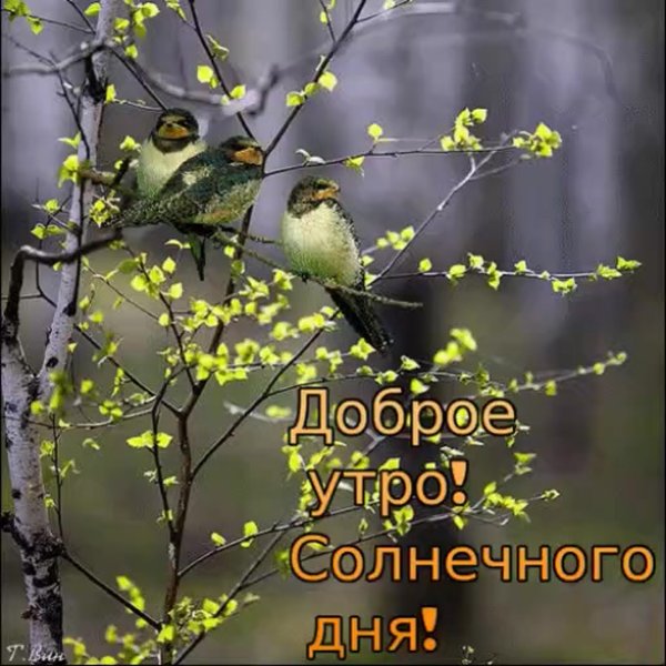 Христианские пожелания с добрым утром весенние