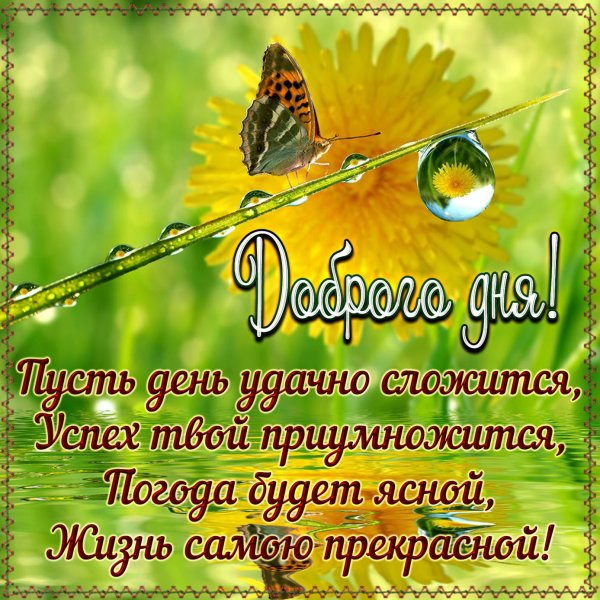 Доброго солнечного дня