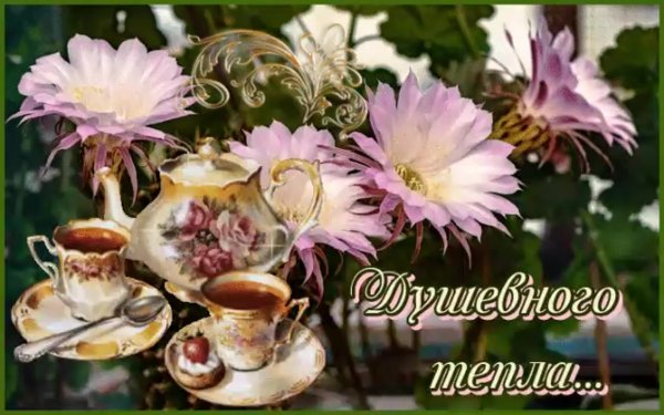 Тепла и уюта в душе