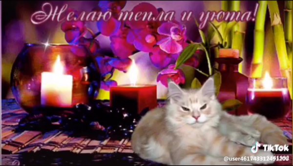 Анимашки пожелания тепла и уюта