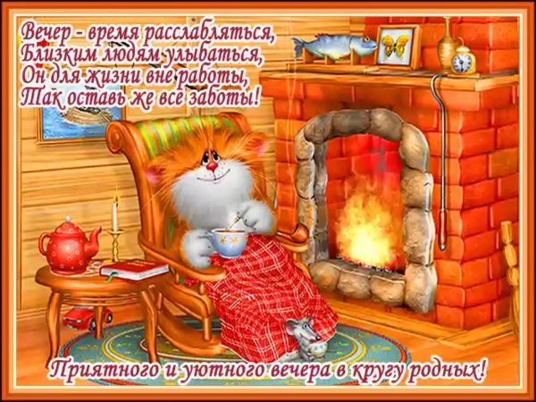 Смешные поздравления доброго вечера