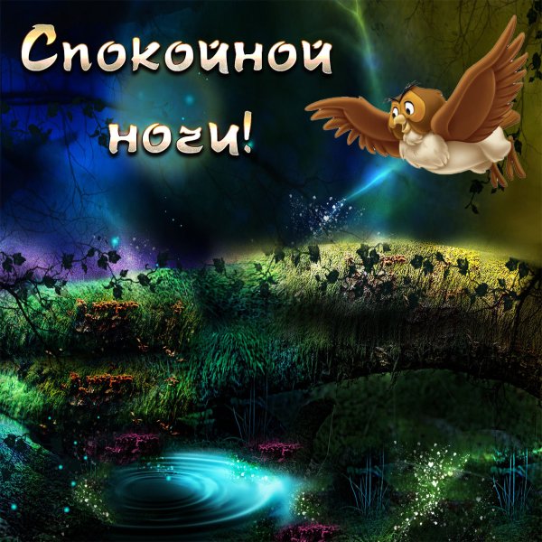 Пожелания спокойной ночи