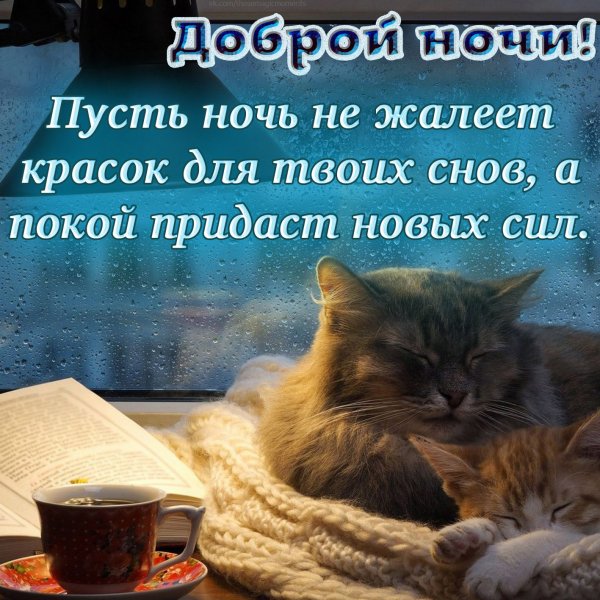 Открытки спокойной ночи сладких снов
