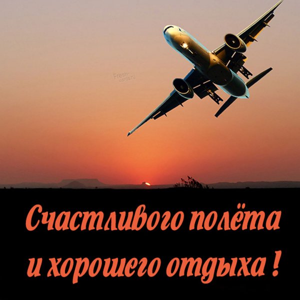 Карикатуры про авиацию