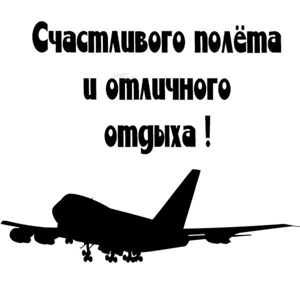 Летающая черепаха