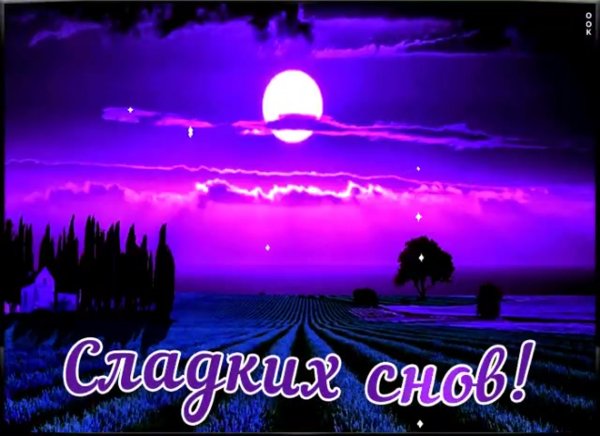 Крепкого сна и приятных сновидений