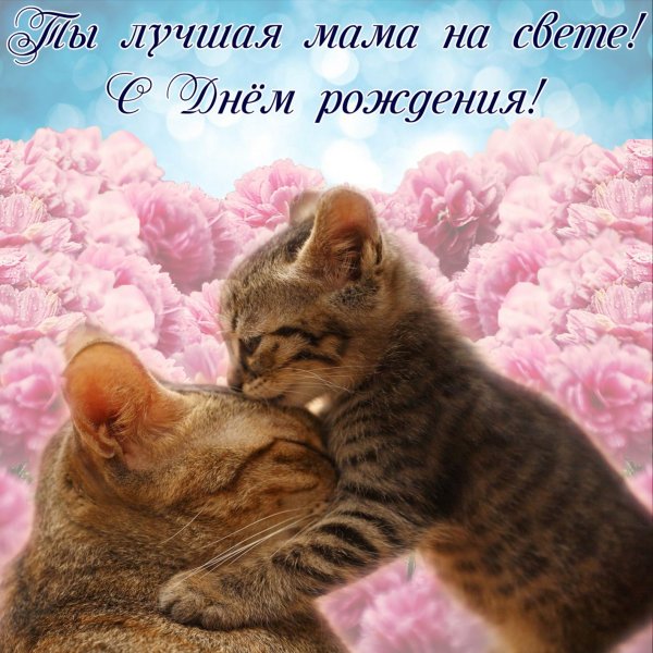 Взрослой девочке с душой ребенка поздравление