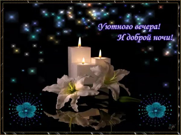 Доброго вечера и спокойной ночи