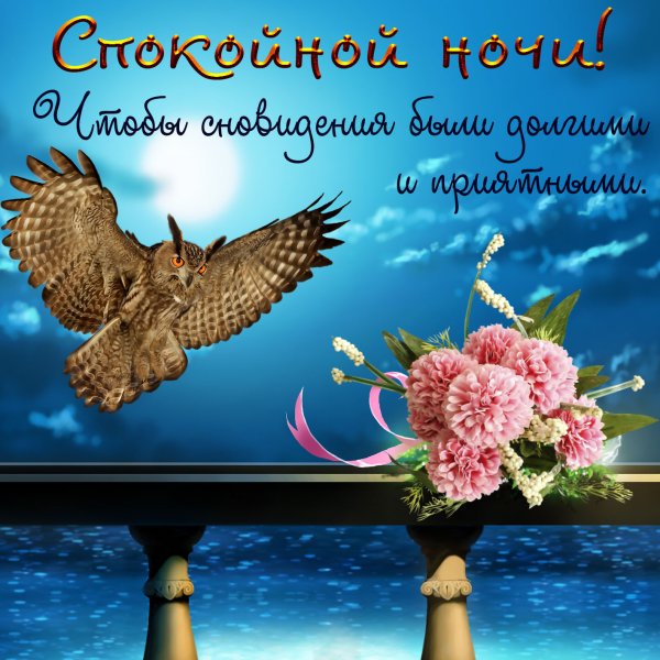 Пожелания спокойной ночи