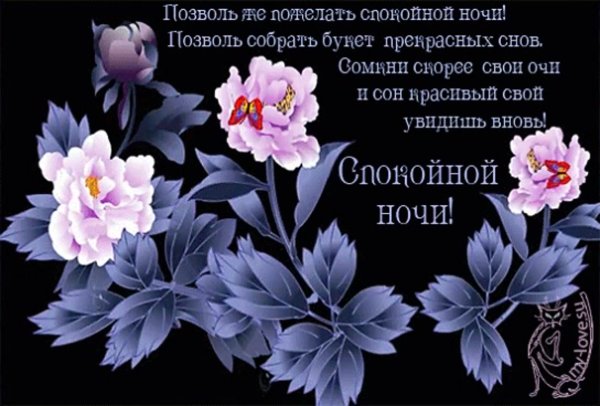 Пожелания спокойной ночи