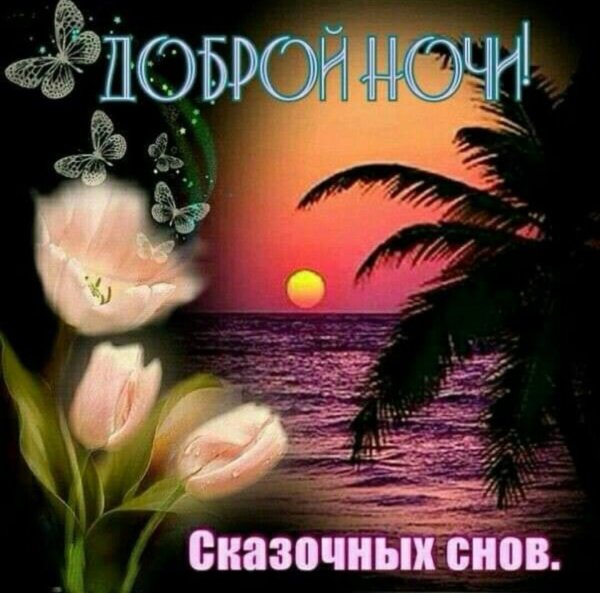 Пожелания спокойной ночи